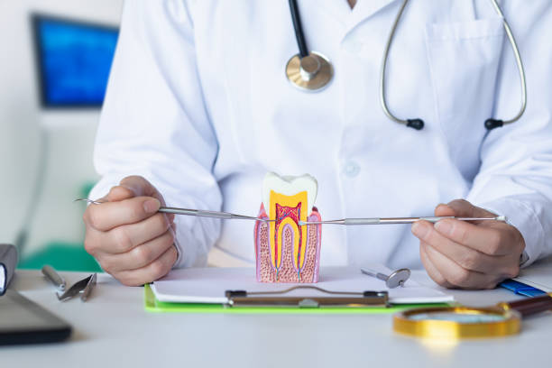 Best Emergency Orthodontic Repairs in North Lima, OH